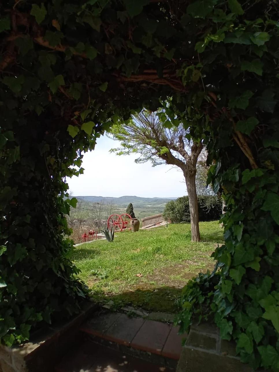 Casa Serafina Trilocale Con Arredi D'Arte E Parcheggio Privato Ορβιέτο Εξωτερικό φωτογραφία